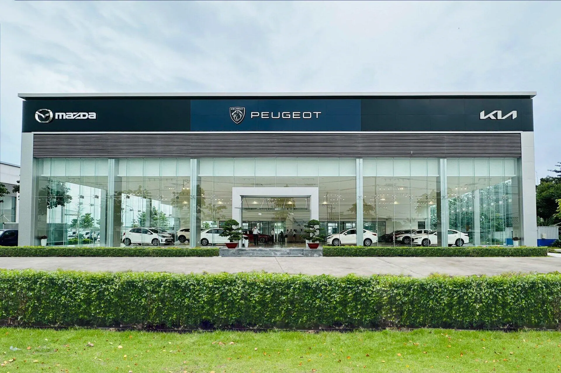SHOWROOM KIA, MAZDA, PEUGEOT THỐT NỐT