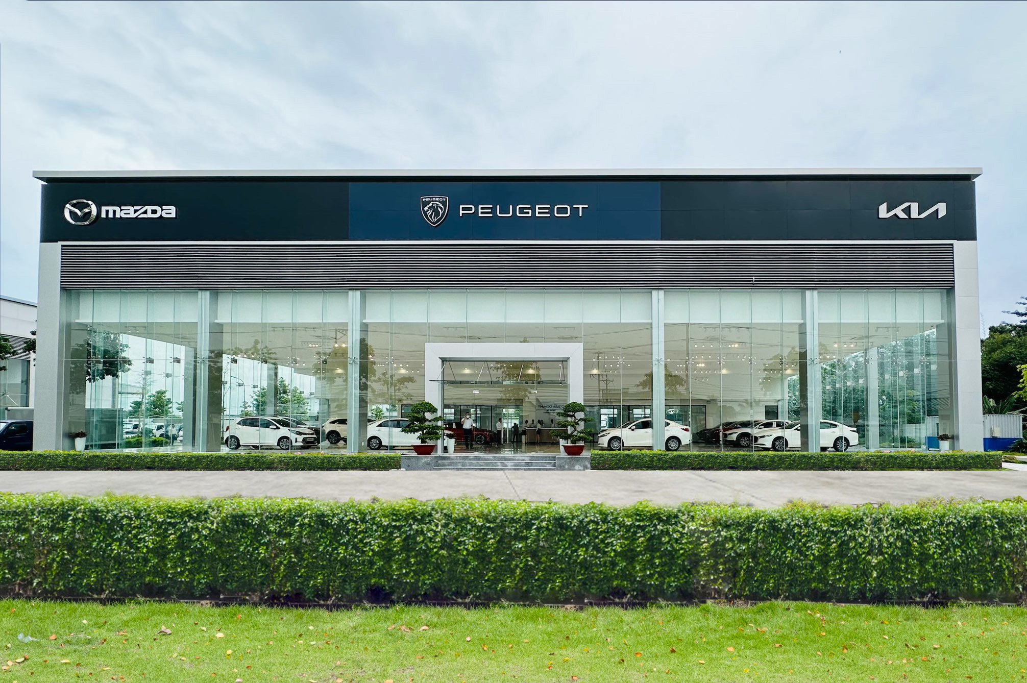 SHOWROOM KIA, MAZDA, PEUGEOT THỐT NỐT